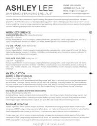 senior software engineer resume template free download letter. most ...