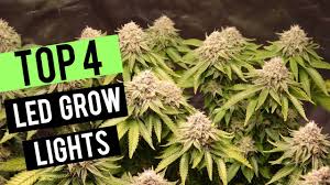 We did not find results for: Top 4 Led Grow Lights 2019 2x2 Coverage Area Youtube
