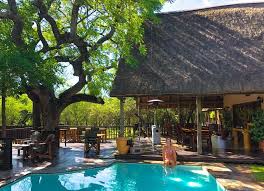 Hotels near or close to kruger national park in area. Complete Guide To Safari In Kruger National Park South Africa Stoked To Travel