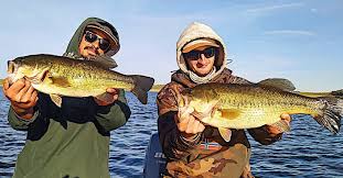The 8 highest earning bass lures in competitive fishing. B A Bass Fishing Facebook
