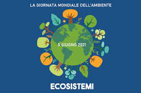 Nel 2021 il/la giornata mondiale dell'ambiente cade il 5 giugno (sabato). Qgfqdp8fok8oom