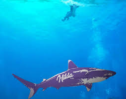 images?q=tbn:ANd9GcRXZizqdnZxoezuplb3z1c