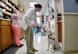 We treat each client with warmth, courtesy and respect and act as our patients'. Companion Animal Clinic Veterinarians Boarding Grooming Blacksburg