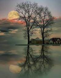 Pin By Cuchi Pena On Nature In 2020 Beautiful Landscapes Beautiful Nature Landscape Photography