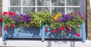 The large beau window box planter is designed to help you add flowers or an herb garden to your window sill. Window Box Liners Why When How To Use Flower Box Inserts