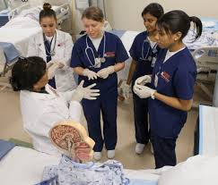 Pre Nursing Clovis Community College