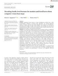 Image result for Tricalysia acocantheroides