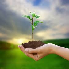 Wisma felcra niaga felcra niaga sdn. Felcra Niaga Fertilizer Manufacturer Agro Input Supplier