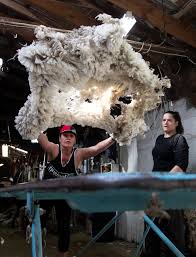 Xmas: the best illustrated books of 2022