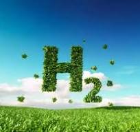 Greenzo Energy launches 1-MW green hydrogen alkaline ...