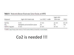 Maybe you would like to learn more about one of these? Environmental Conditions Of Animal Cell Culture Part 5 By Saib H Al Owini Ppt Download