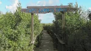 Come check out Capt....