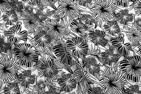 Black And White Floral Fabric By The Yard Black And White Floral Fabric Floral Swirl By Kociara Black And White Tropical Flower Cotton Fab Floral Fabric Swirls Tropical Flowers