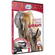 In fiecare zi, cele mai importante evenimente, transmisiuni live, analize, anchete si reportaje. Afla Totul Despre Elefanti Emag Ro