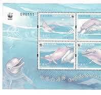 GAMBIA 1694g - White-beaked Dolphin "Lagenorhynchus ...