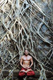 Pin By Bkyu On Peaceful Manly Strength Yoga For Men Lotus Pose Yoga Yoga Postures