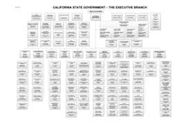 5 Printable Typical Hospital Organizational Chart Forms And