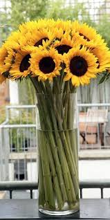 We did not find results for: 78 Ide Bunga Matahari Bunga Matahari Bunga Matahari