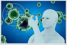 Diagnostic virology has changed rapidly due to the advent of molecular techniques and increased clinical sensitivity of serological assays. Viruses That Will Be Transmitted From Animals To Humans Ibsa Foundation