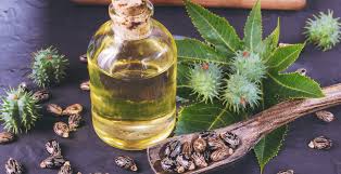 Castor Oil Benefits Uses Dosage And Side Effects Dr Axe castor oil benefits uses dosage and