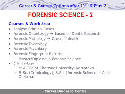 80 actual career options after 12th science chart