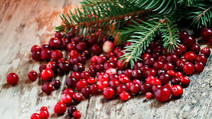 Cranberry Research