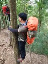 Viral video tindakan asusila, muspika setempat bina pemilik warungподробнее. Viral Video Pendaki Bertemu Babi Hutan Di Gunung Cikuray Ini Ceritanya Halaman All Kompas Com