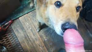 Cumming in animals ❤️ Best adult photos at hentainudes.com