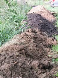 We did not find results for: Digging Fire Pit Sept 05 020 Sfrisse Flickr