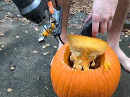 Image result for fat ass pumpkin