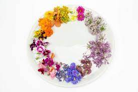 Growing edible flowers for profit. Why Edible Flowers Are New Culinary Trend And Very Profitable React Green