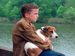 Peliculas De Perros En Espanol Completas