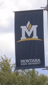 MSU announces Blue and Gold Awards to be given at Homecoming