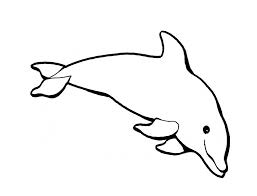 Identify 15 different creatures in these animal coloring sheets. Friendly Underwater Creature 20 Dolphin Coloring Pages Free Printables