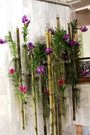 Orchids In Mandarin Oriental Bangkok Hotel Hanging Orchid Orchids Orchid Planters