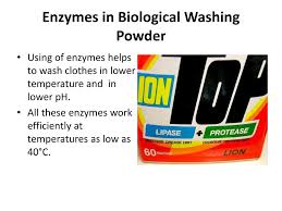 Enzymes In Washing Powder Cheaper Than Retail Price Buy Clothing Accessories And Lifestyle Products For Women Men