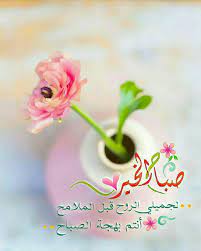 pin by m m on صباح ومساء الخير أحبتي morning greeting good morning arabic morning images