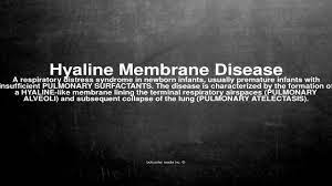 Medical Vocabulary What Does Hyaline Membrane Disease Mean Youtube