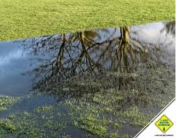 Maybe you would like to learn more about one of these? Guarantee Carpet Cleaning Home Facebook
