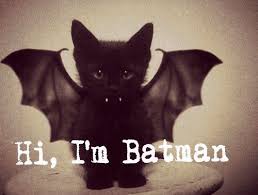 Hi I M Batman Batcat Goruntuler Ile