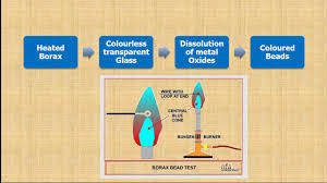 Which Metal Salt Gives A Violet Coloured Bead In The Borax Bead Test? (A)  Co^2+ (B) Mn^2+ (C) Ni^2+ (D) Fe^2+ | Numerade