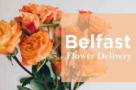 Ordering flowers in belfast has never been easier with belfast flower delivery. The 11 Best Options For Flower Delivery In Belfast 2021
