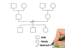 Family genograms can be simple or astonishingly complex. How To Make A Genogram 14 Steps With Pictures Wikihow