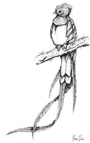 Guatemalan Quetzal Tattoo Black And White Tattoo Design 350x330 image result for black and white. guatemalan quetzal tattoo black and