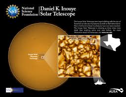 Image result for Solanecio kanzibiensis