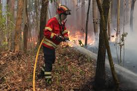 Make social videos in an instant: Visao Incendio Em Monchique Esta Dominado