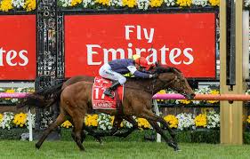 2018 A Punter Of The Week Highlights