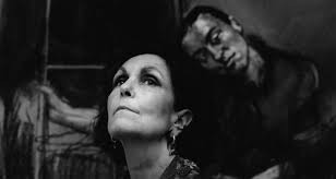 photography visual language