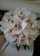 Buche di fiori da matrimonio orchide. Foto Bouquet Sposa Di Orchidee Lemienozze It