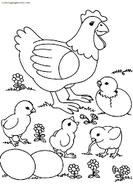 Little fuzzy yellow fluffs of joy. Baby Chicks Coloring Pages Chicken Coloring Pages Coloring Pages For Kids And Adults